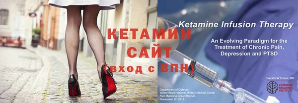 гидра Инта
