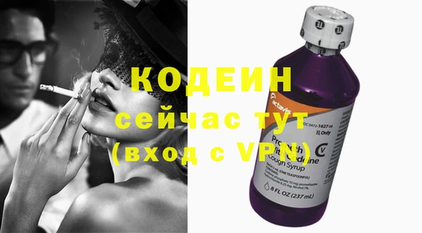 гидра Инта