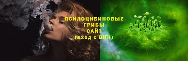 гидра Инта
