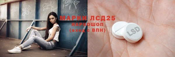 apvp Инсар