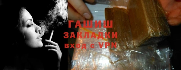 гидра Инта