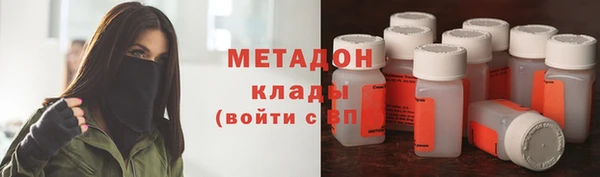 гидра Инта