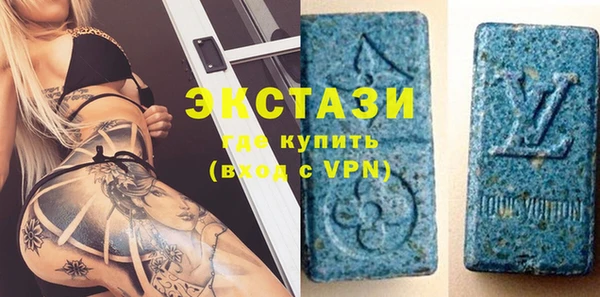 гидра Инта