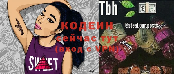 гидра Инта