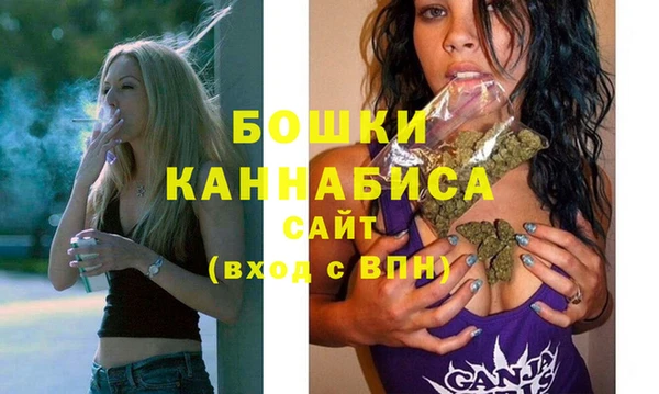 гидра Инта