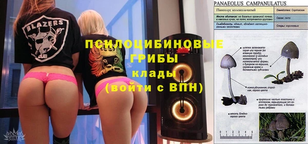 apvp Инсар