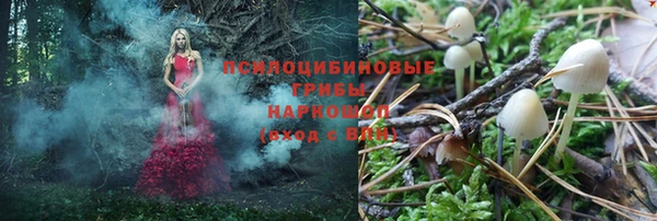 apvp Инсар