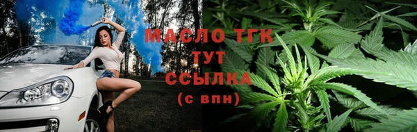 apvp Инсар