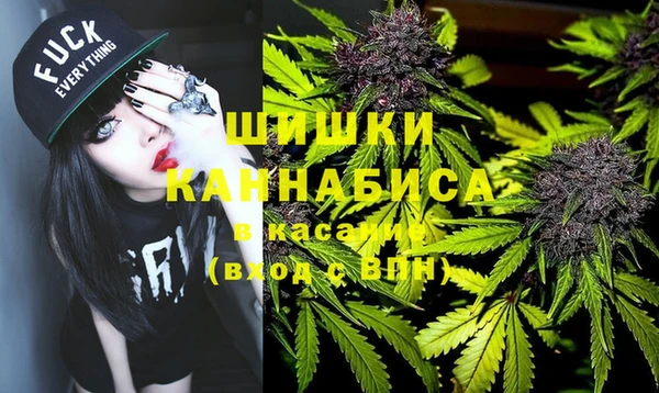 apvp Инсар