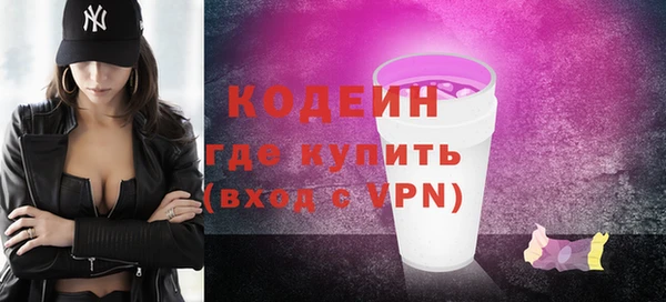 гидра Инта