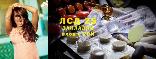гидра Инта