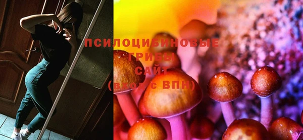 apvp Инсар
