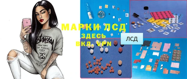 apvp Инсар