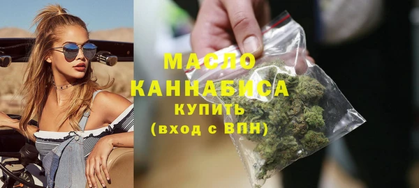 гидра Инта
