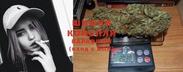 apvp Инсар