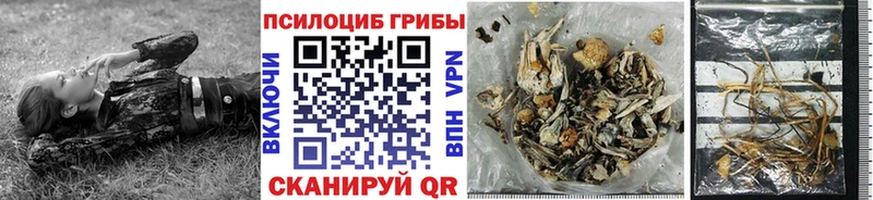 Купить  Великий Устюг  Галлюциногенные грибы Magic Shrooms 